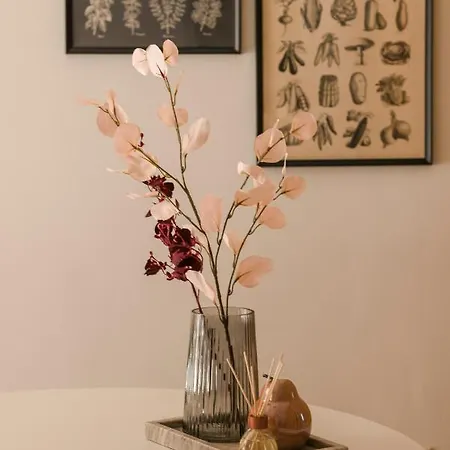 Theseus Seafront House